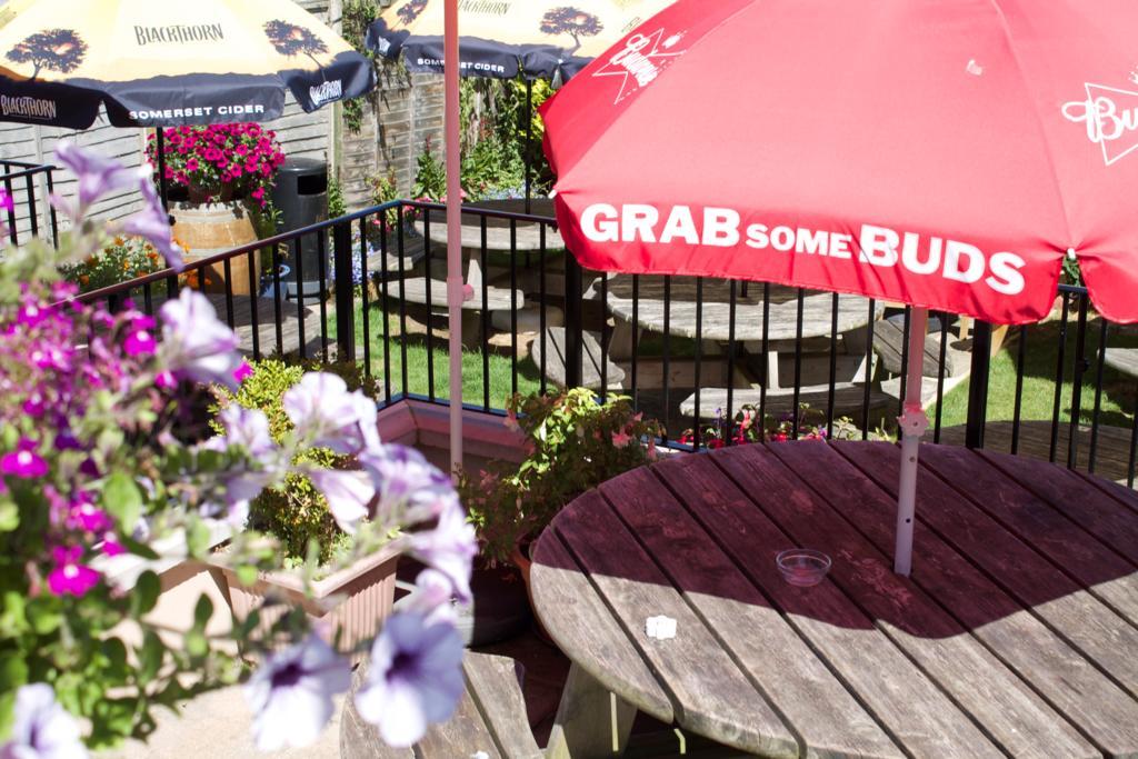 The Pilot Inn Eastbourne Luaran gambar